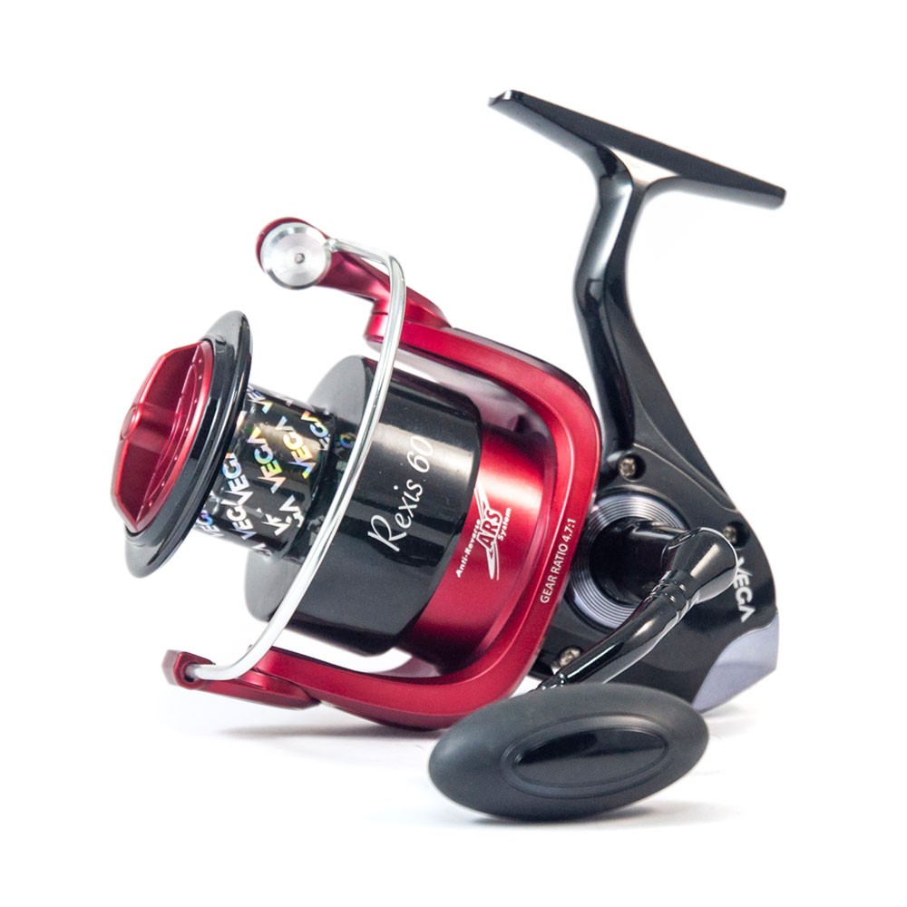 Μηχανισμός REXIS 60 της VEGA image