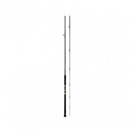 Καλάμι DAIWA OVER THERE GRANDE 99H 2.97m 30-100gr image