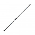 Καλάμι XSERT FISH INSTINCT FW20 3.50m 80-150g image - 0