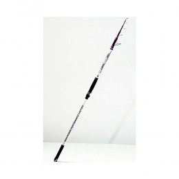 Καλάμι Surfcasting XPOWER LRIS 4.30m 80-180gr image