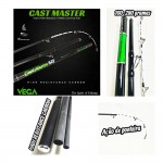 Καλάμι VEGA CAST MASTER 4.20m 100-280gr image - 1