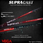 Καλάμι VEGA SUPRACAST Hybrid 3.60m 50-100g image - 1