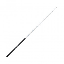 Καλάμι Medium Trolling SUNSET KAIJIN SW 1.98m 12lbs image