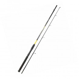 Καλάμι Spinning SRT FISH INSTINCT SYMPHONY SPINCAST 2.10m 10-30g image
