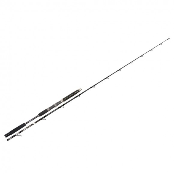 Καλάμι HART TORO ELECTRIC FK 1.95m 150-900gr main image