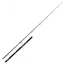 ΚΑΛΑΜΙ OKUMA SALINA TUNA 2.28m 20-70gr image